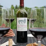Chateau Haut-brisson 4* Vignonet