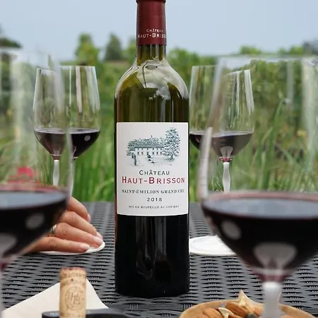 Chateau Haut-brisson 4* Vignonet