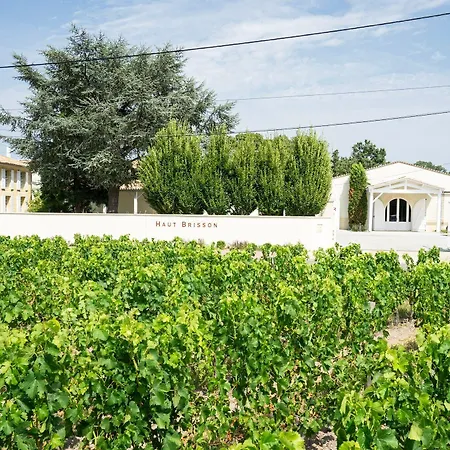 Chateau Haut-brisson Vignonet