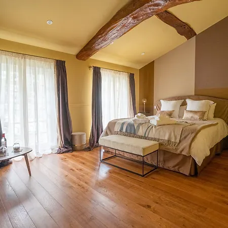 Chateau Haut-brisson Bed & Breakfast Vignonet