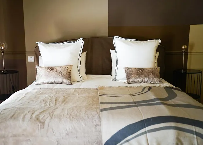 Chateau Haut-brisson 4*