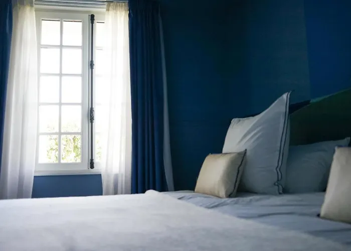 Chateau Haut-brisson Bed & Breakfast