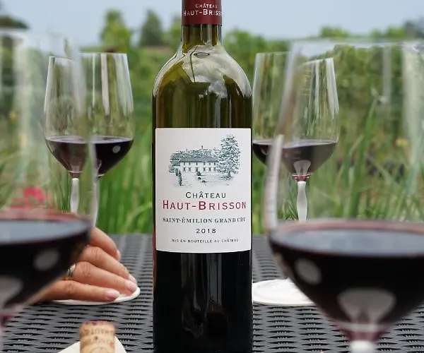 Château Haut-brisson 4* Vignonet