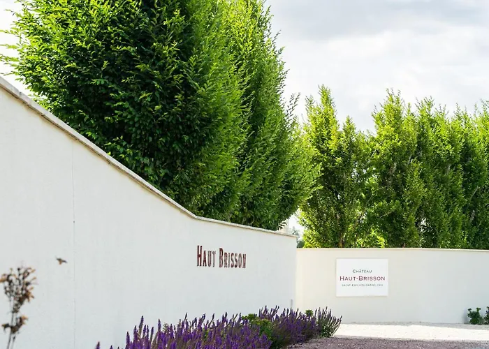 Chateau Haut-brisson Bed & Breakfast