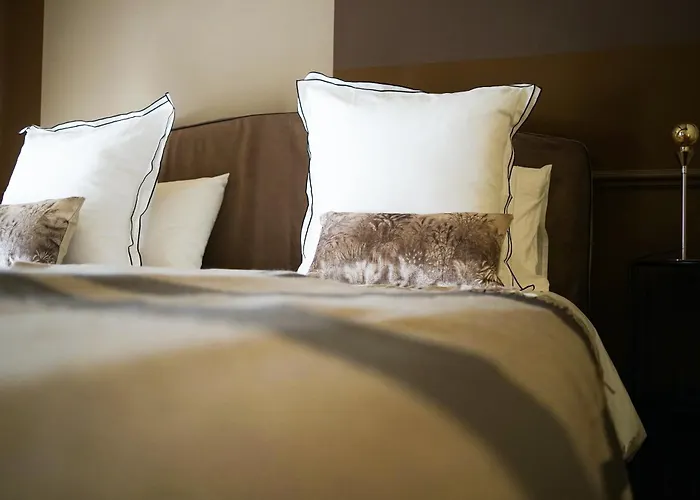 Chateau Haut-brisson Vignonet