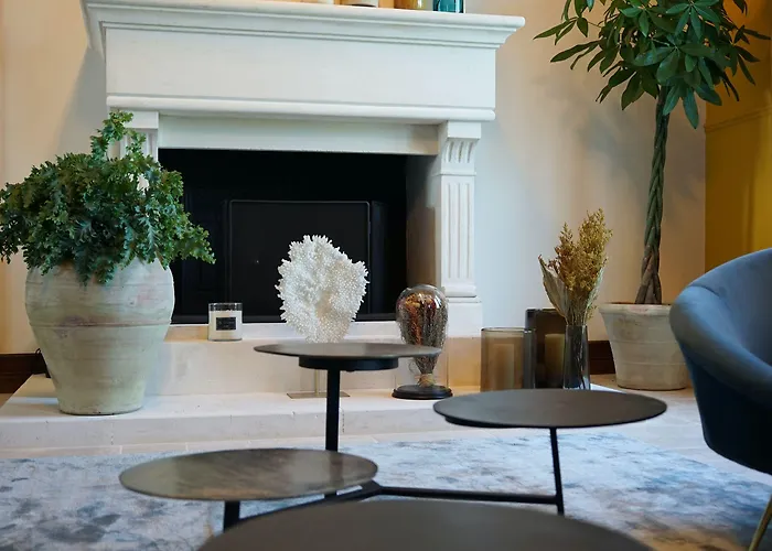 Chateau Haut-brisson 4*