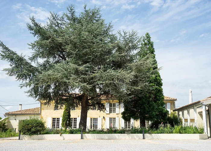 Chateau Haut-brisson 4* Vignonet