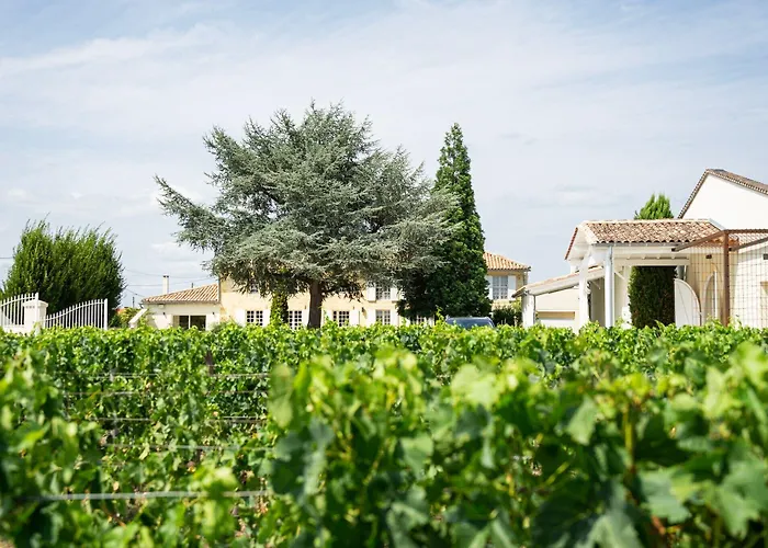 Bed & Breakfast Chateau Haut-brisson 4*