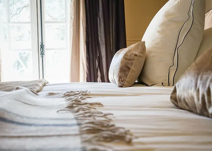 Chateau Haut-brisson Vignonet