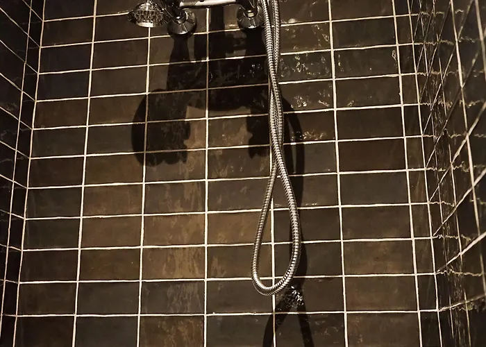 Chateau Haut-brisson Bed & Breakfast 4*